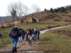 Collada Moande Collada Moande