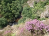 El rio Esva en verano