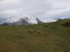 Collado la Salgar