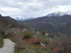 Urria