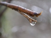 detalle