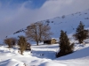 Campa Gües