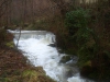 El rio bajando impetuoso hacia desembocar en el Nalon