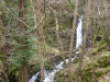 Arroyo Buanga 2