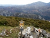 Pico Planton
