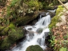 Arroyo de Buanga