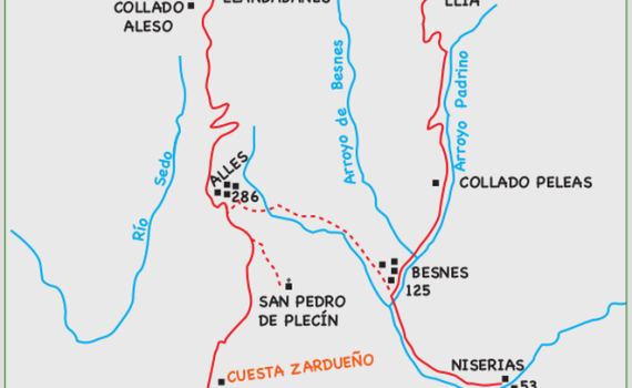 Pico Liño
